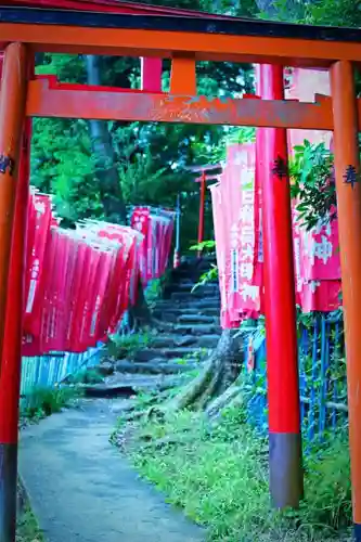 筑波山神社の鳥居