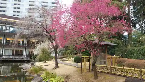 東郷神社の庭園