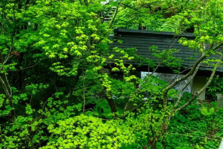 戸隠神社奥社(長野県)