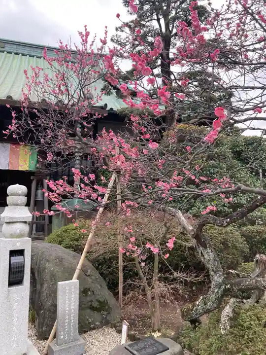 薬師院(神奈川県)