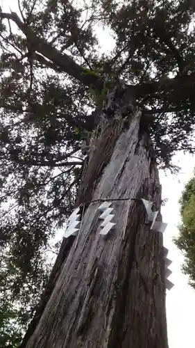 居木神社(東京都)