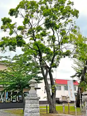 空知神社のその他建物