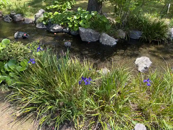 城南宮(京都府)