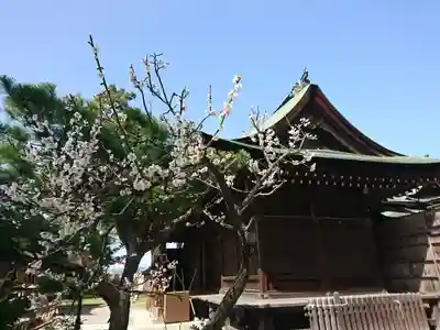 小松天満宮の本殿・本堂