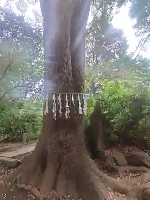 代々木八幡宮(東京都)