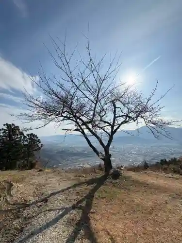 田尾山大師堂(徳島県)