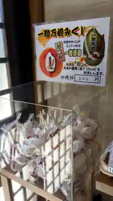 鷹栖神社のおみくじ