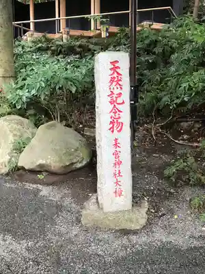 來宮神社(静岡県)