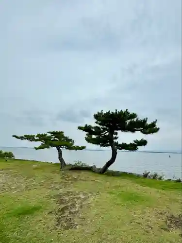 唐崎神社の景色