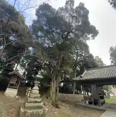 大歳神社(兵庫県)