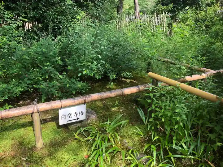 白毫寺のその他建物