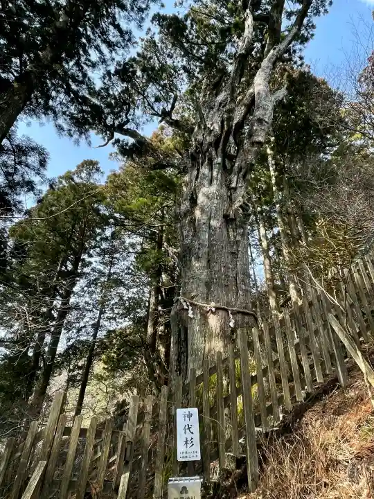 玉置神社の{uncategorized: "未分類", other: "その他", undefined: "問題あり", building: "その他建物", grave: "お墓", sacred_gate: "鳥居", guardian: "狛犬", statue: "像", buddha: "仏像", history: "歴史", nature: "自然", garden: "庭園", animal: "動物", pagoda: "塔", temizu: "手水舎", mountain_gate: "山門・神門", sanctuary: "本殿・本堂", subordinate: "末社・摂社", art: "芸術", scenery: "景色", jizo: "地蔵", ema: "絵馬", goshuin: "御朱印", omikuji: "おみくじ", items: "授与品その他", amulet: "お守り", goshuincho: "御朱印帳", eats: "食事", festival: "お祭り", votive_dance: "神楽", shichigosan: "七五三参", wedding: "結婚式", experience: "体験その他", initially: "初詣", around: "周辺", anti_infection: "感染症対策"}