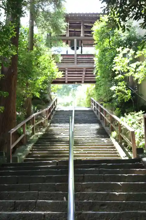達磨寺(群馬県)