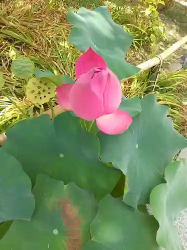 平等院(京都府)