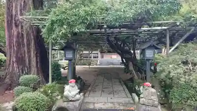 林泉寺の自然