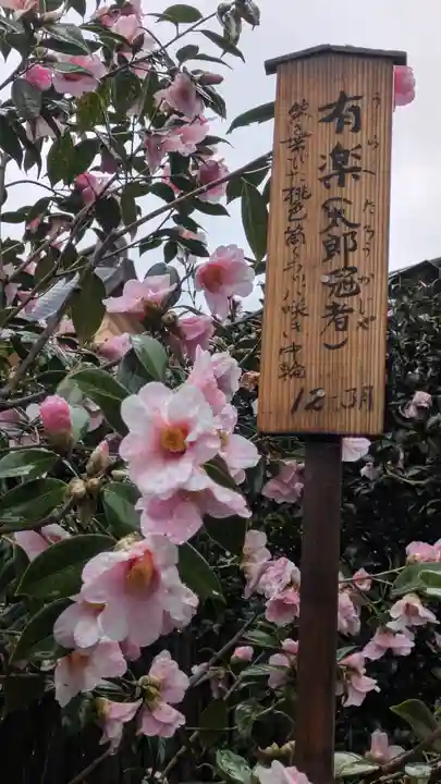 城南宮(京都府)