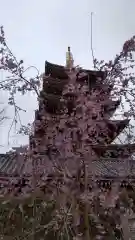 浅草寺の塔