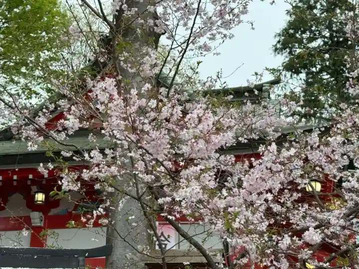 川越八幡宮の{uncategorized: "未分類", other: "その他", undefined: "問題あり", building: "その他建物", grave: "お墓", sacred_gate: "鳥居", guardian: "狛犬", statue: "像", buddha: "仏像", history: "歴史", nature: "自然", garden: "庭園", animal: "動物", pagoda: "塔", temizu: "手水舎", mountain_gate: "山門・神門", sanctuary: "本殿・本堂", subordinate: "末社・摂社", art: "芸術", scenery: "景色", jizo: "地蔵", ema: "絵馬", goshuin: "御朱印", omikuji: "おみくじ", items: "授与品その他", amulet: "お守り", goshuincho: "御朱印帳", eats: "食事", festival: "お祭り", votive_dance: "神楽", shichigosan: "七五三参", wedding: "結婚式", experience: "体験その他", initially: "初詣", around: "周辺", anti_infection: "感染症対策"}