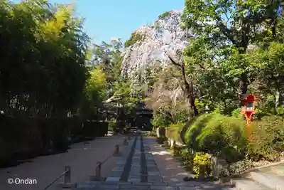 釈迦院(大阪府)
