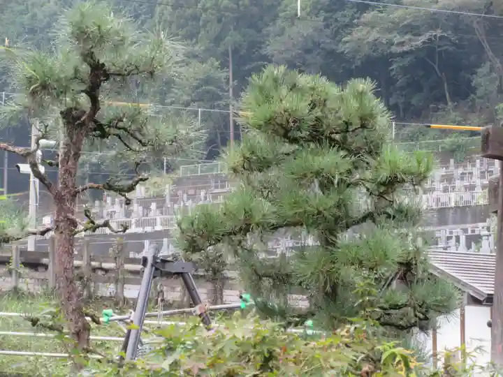 法光寺(埼玉県)