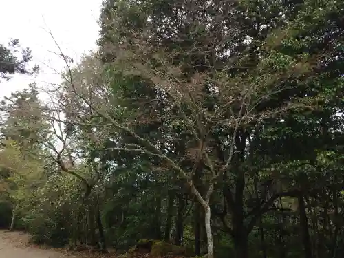 四宮神社(広島県)