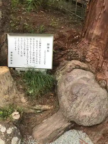 神場山神社の歴史