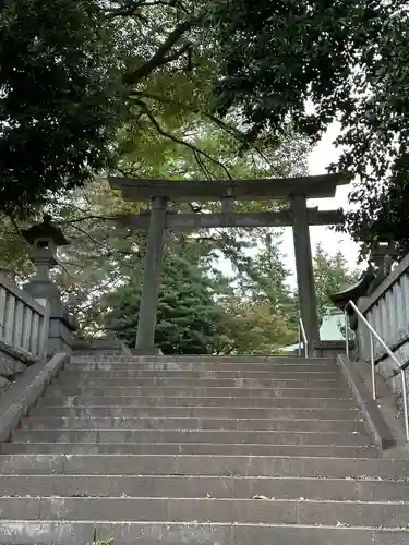 野毛六所神社(東京都)