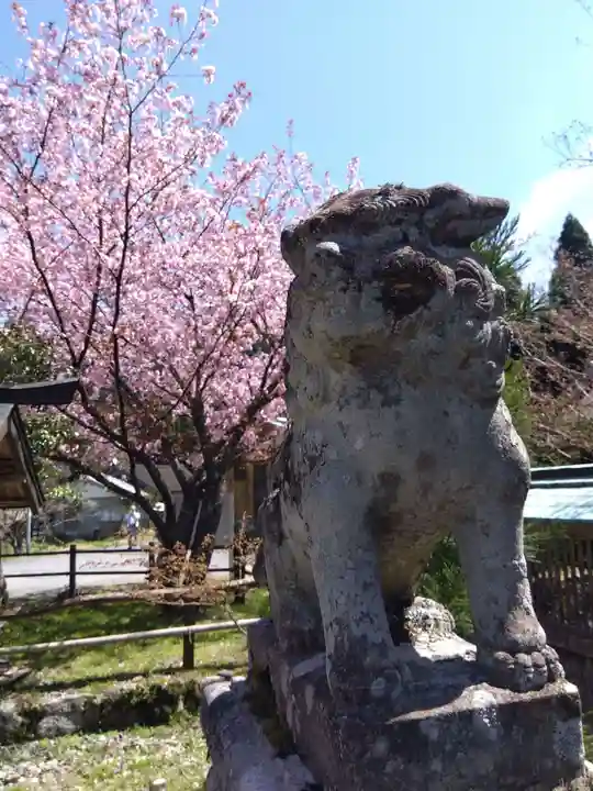 春日神社(京都府)
