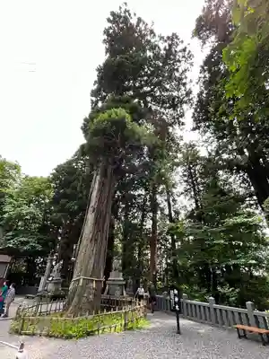 戸隠神社中社(長野県)