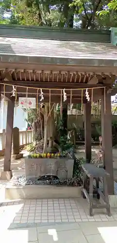 柏諏訪神社(千葉県)