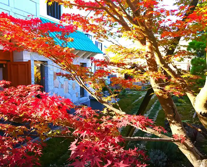 寿量山 速成寺の自然