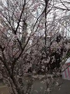 賀羅加波神社(広島県)(2023年03月21日(火) 10時40分56秒投稿)