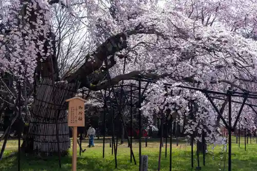 賀茂別雷神社（上賀茂神社）(京都府)