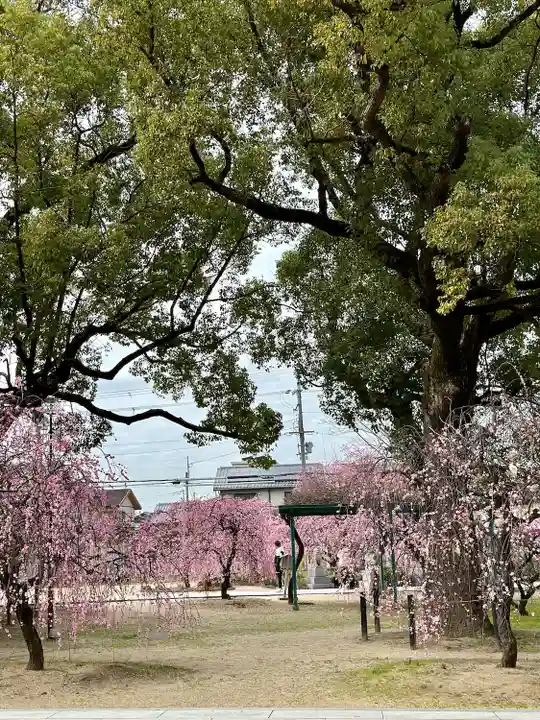 屯倉神社(大阪府)
