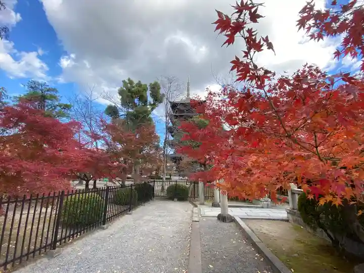 東寺(教王護国寺)(京都府)