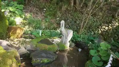 出雲大神宮の狛犬