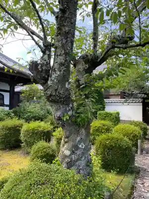 一様院(京都府)