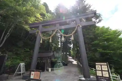 戸隠神社中社の鳥居