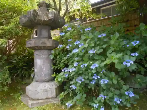安國論寺（安国論寺）のその他建物