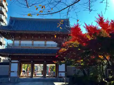 伝通院の山門・神門