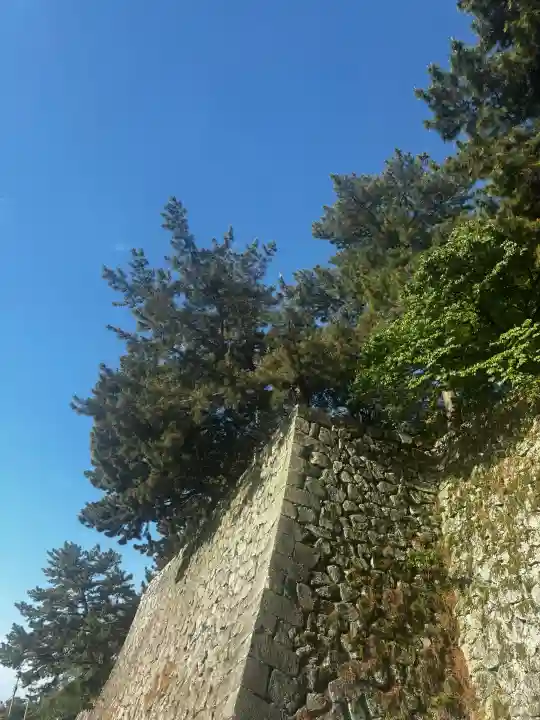 篠山神社の{uncategorized: "未分類", other: "その他", undefined: "問題あり", building: "その他建物", grave: "お墓", sacred_gate: "鳥居", guardian: "狛犬", statue: "像", buddha: "仏像", history: "歴史", nature: "自然", garden: "庭園", animal: "動物", pagoda: "塔", temizu: "手水舎", mountain_gate: "山門・神門", sanctuary: "本殿・本堂", subordinate: "末社・摂社", art: "芸術", scenery: "景色", jizo: "地蔵", ema: "絵馬", goshuin: "御朱印", omikuji: "おみくじ", items: "授与品その他", amulet: "お守り", goshuincho: "御朱印帳", eats: "食事", festival: "お祭り", votive_dance: "神楽", shichigosan: "七五三参", wedding: "結婚式", experience: "体験その他", initially: "初詣", around: "周辺", anti_infection: "感染症対策"}