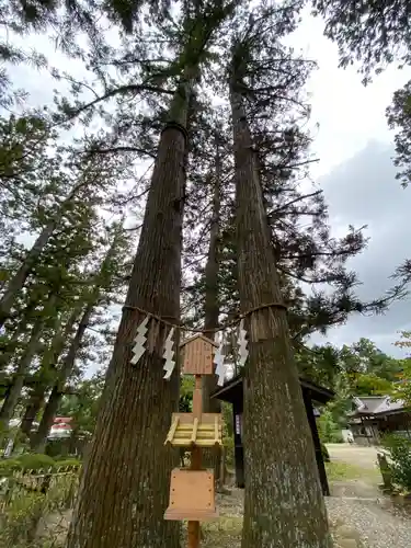 大崎八幡宮(宮城県)