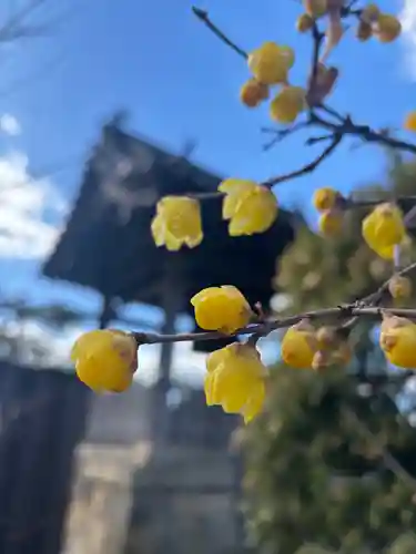 大歳神社(兵庫県)