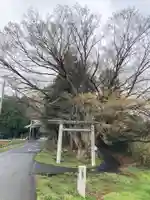 雨引千勝神社(茨城県)