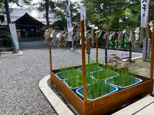 上川神社の庭園