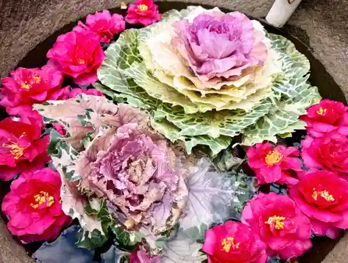 真言宗　善通寺派　薬王寺(香川県)