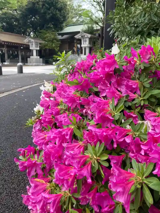 東郷神社(東京都)