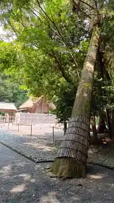 伊雜宮（皇大神宮別宮）の自然