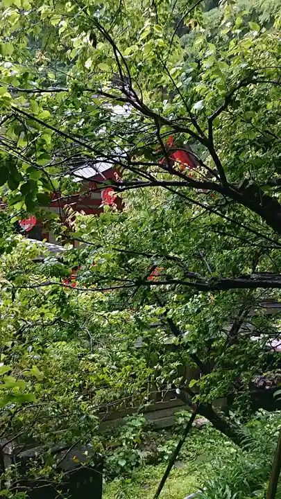 荏柄天神社の自然