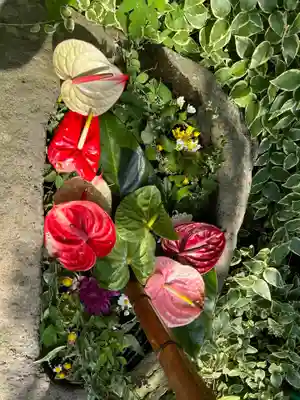 岡部春日神社～👹鬼門よけの🌺花咲く🌺やしろ～(福島県)